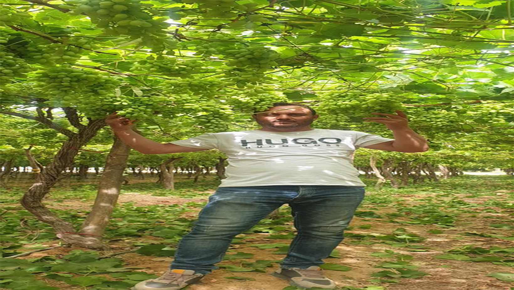 Eng. Ayman Hosny